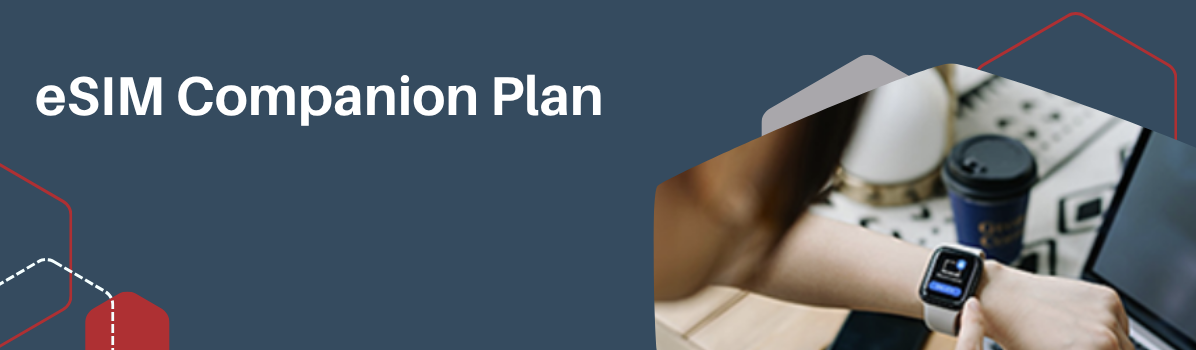 eSIM Companion Plan