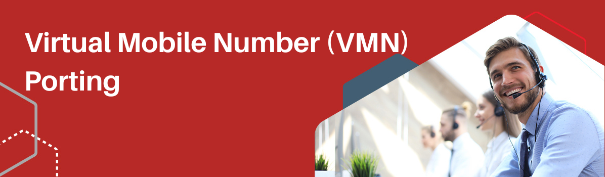 Virtual Mobile Number (VMN) porting